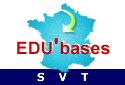 EB LOGOsvt